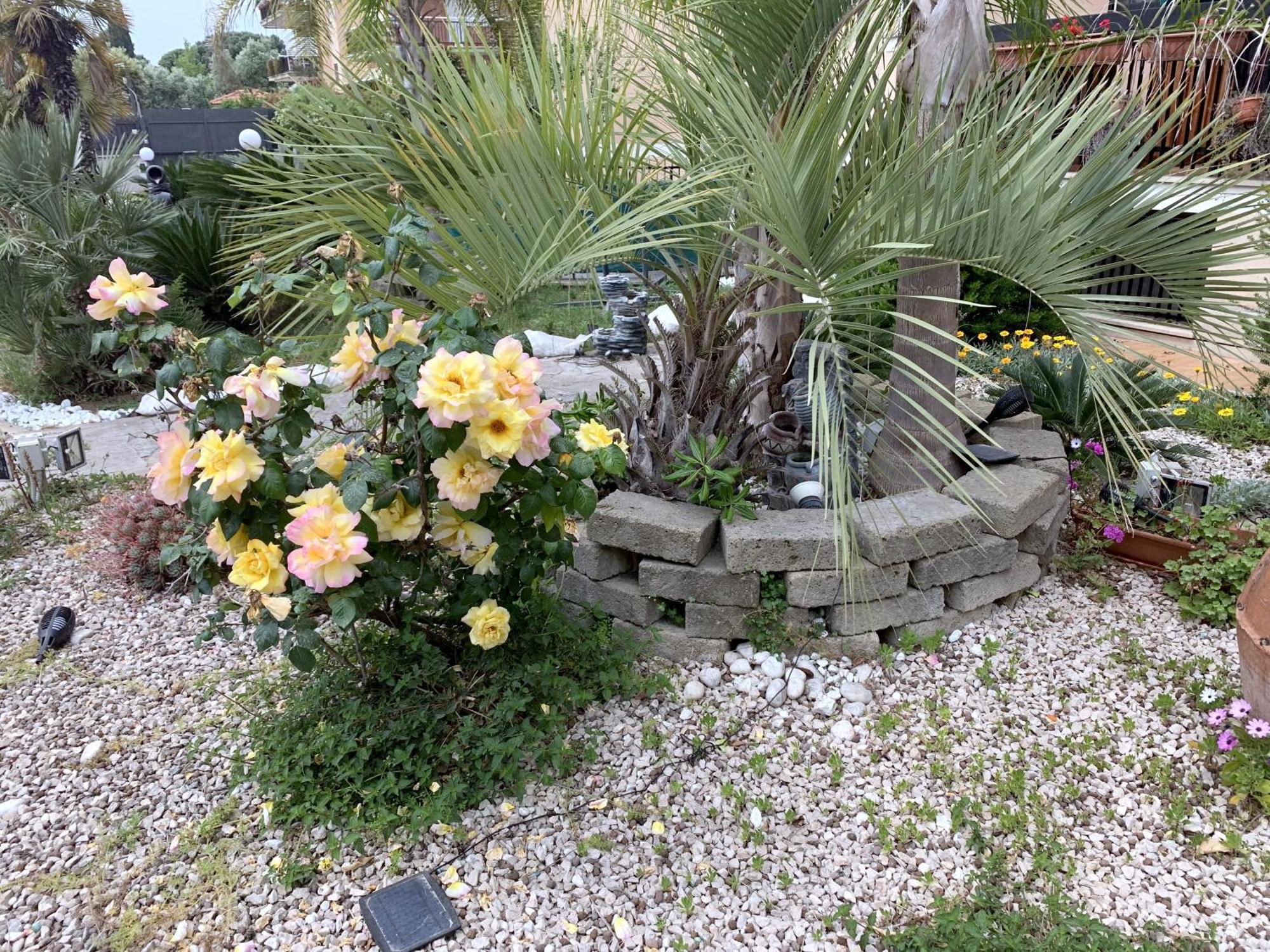 Il Giardino Di Adriana Bed & Breakfast